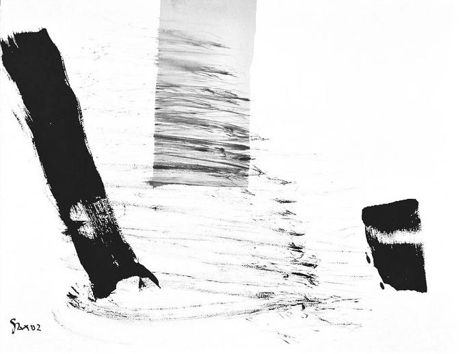 5-2002 evoluant 51x66 chf 2000.jpg